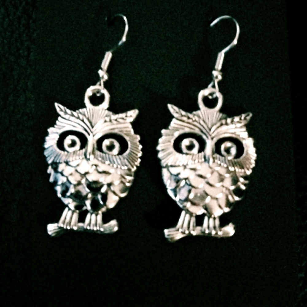 NWT Owl Drop Earrings